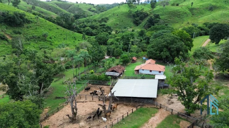 Imagem Fazenda a venda 82 alqueires em Campinacu -Goiania - GO