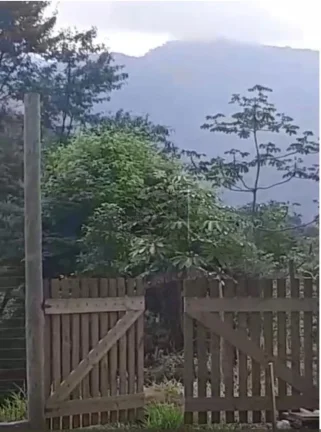 Imagem Terreno para Venda em Ubatuba / SP no bairro Vila de Itamambuca