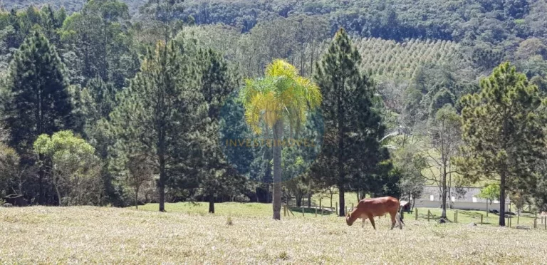 Imagem Sítio a Venda no bairro Carmo Messias - Ibiuna, SP