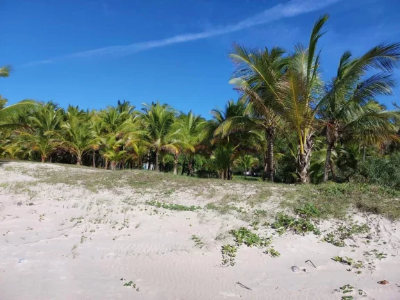 Imagem Paraíso em Serra Grande