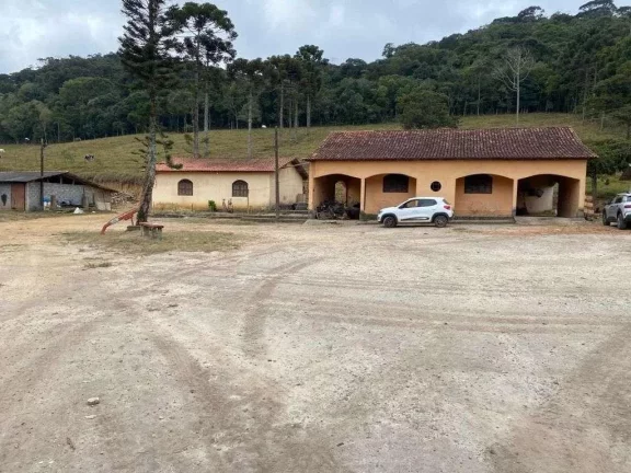 Imagem Fazenda à venda em Barbacena, Correia de Almeida, com 4 quartos, 30,2357ha