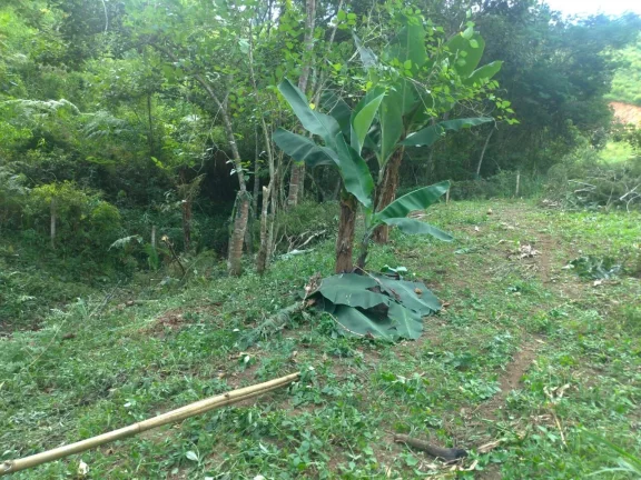 Imagem CHACARA A VENDA EM PIRACAIA DIVISA COM NAZARE PAULISTA