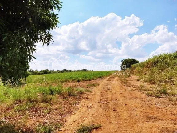 Imagem Venda, área industrial, bairro Bonfim, em Paulínia!
Zoneamento ZD 1 (zona de desenvolvimento indus...