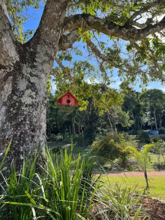 Imagem VENDO ESTE LUXUOSO SÍTIO NA CIDADE DE CANTAGALO RJ.