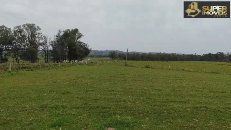 Imagem Fazenda Espetacular no Capão do Leão-RS próximo de Pelotas