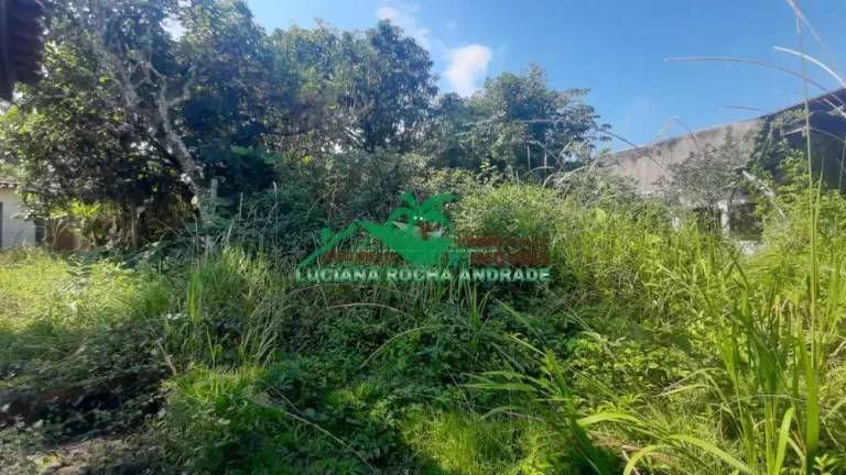 Imagem Terreno Padrão