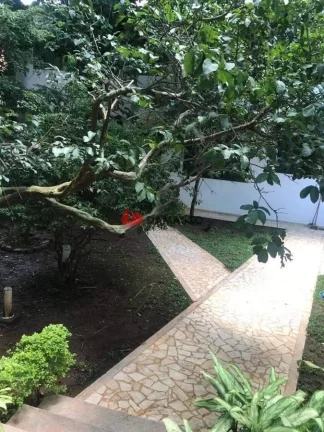 Imagem Sobrado para locação, Jardim, Santo André, SP