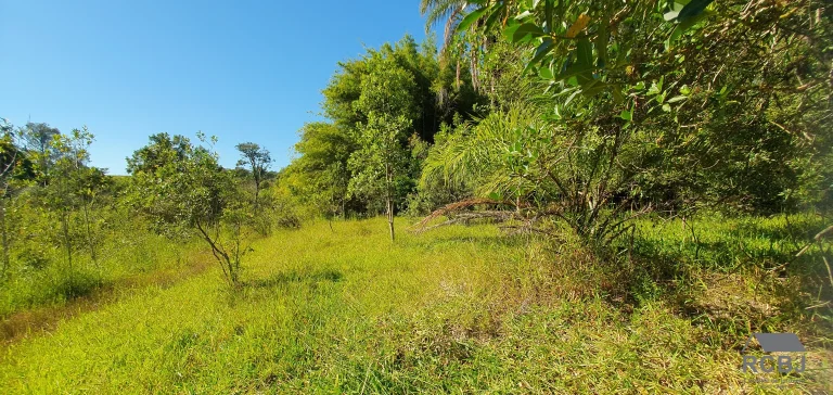 Imagem AREA RURAL em ESMERALDAS - MG, ÁREA RURAL DE ESMERALDAS