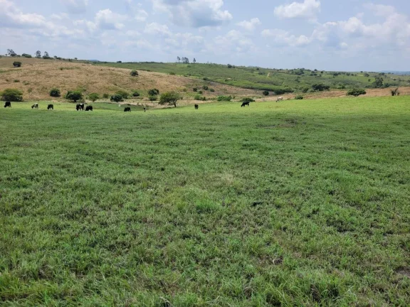 Imagem Excelente Fazenda em Belem Paraíba com 270 hectares