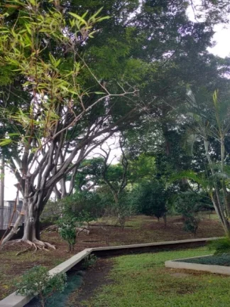 Imagem Apartamento á Venda Jardim Independência Rua Glória do Goitá 78m² 3 dormitórios 1 vaga