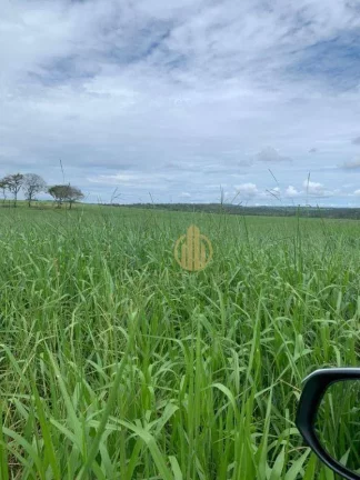 Fazenda à venda, 18000000 m² por R$ 35.000.000 - Zona Rural - Barra do Garças/MT