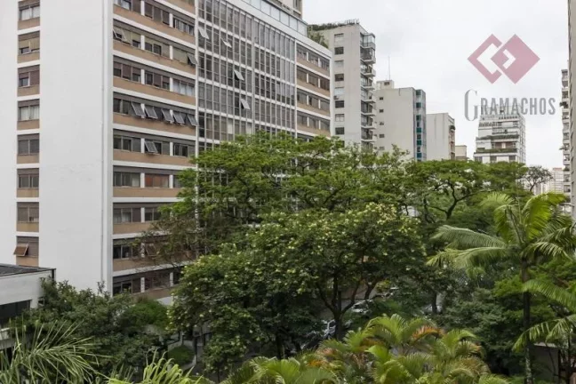 Imagem Apartamento à Venda, 3 Quartos, 270 m2 - Higienópolis, São Paulo | Gramachos