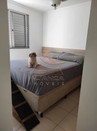 Imagem Apartamento - Ribeirão Preto - Jardim Paulistano