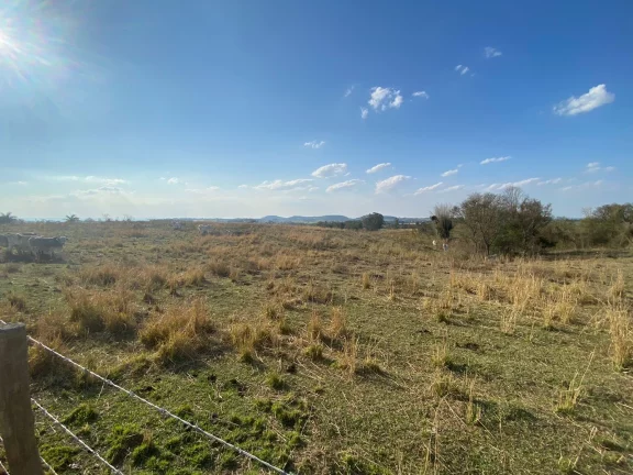 Imagem Área de 90.857m² a venda no Bairro dos Ferreiras em Porangaba/SP.