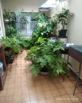 Imagem Linda casa Bonfiglioli
