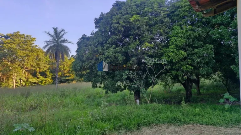 Imagem Chácara para Venda em Brasília, Setor Habitacional Tororó (Jardim Botânico), 3 dormitórios, 1 suíte, 5 banheiros, 4 vagas