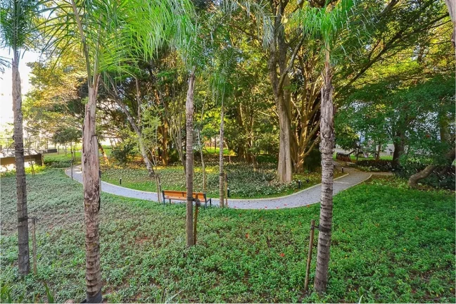 Imagem APARTAMENTO RESIDENCIAL em São Paulo - SP, Santo Amaro