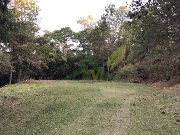 Imagem Lindo Sítio à Venda com 34.811m2 na Divisa entre Atibaia e Jarinu
