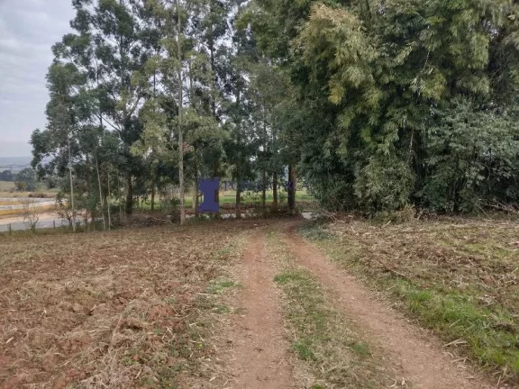 Imagem ÁREA PARA PLANTIO EM BALSA NOVA REGIÃO DO BUGRE
