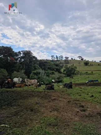 Imagem Sítio em Centro, Pardinho/SP
