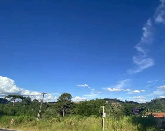 Imagem Terreno à Venda com 15.961,90 m2 na Colônia Rodrigo Silva