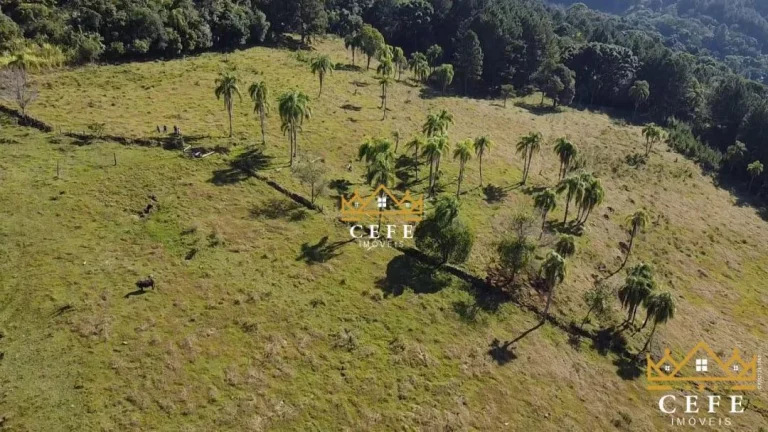 Imagem Chácara - Sítio com 2 Dormitorio(s) localizado(a) no bairro Zona Rural em Três Coroas / RIO GRANDE DO SUL Ref.:1390