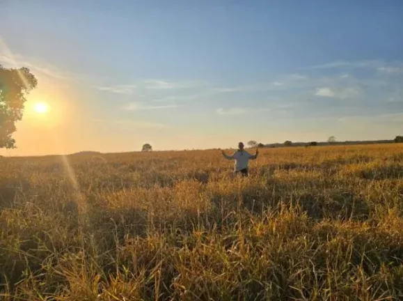 Imagem Oportunidade Única: Fazenda Espetacular à Venda! Mundo Novo GO.