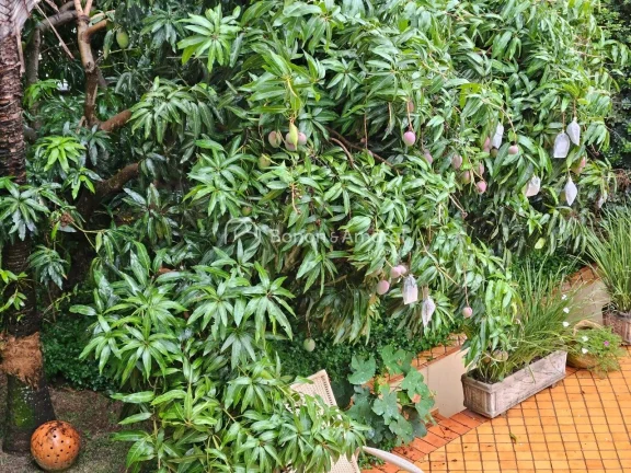 Imagem À Venda: Sobrado Elegante e Sustentável em Alphaville Campinas

Descubra o equilíbrio perfeito en...