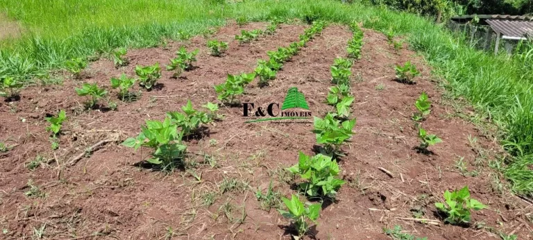 Imagem Terreno para Venda em Piracicaba, Área Rural de Piracicaba