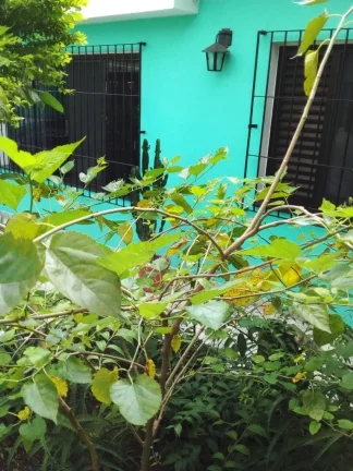 Imagem Casa à venda em Santo André-SP, Jardim Monções! 3 quartos, 1 suíte, 2 banheiros, 2 vagas de garagem, 163m². Confira!