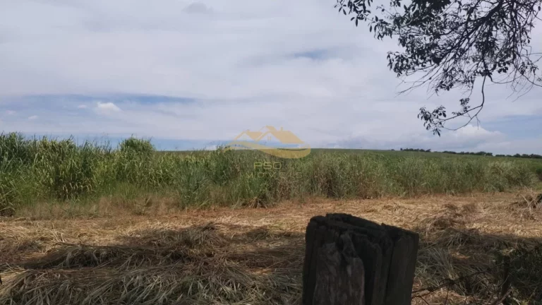 Imagem SITIO RURAL em ELIAS FAUSTO - SP, Centro
