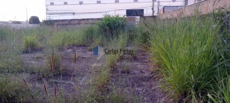 Imagem Terreno Comercial para Venda em Brasília, Setor Industrial (Taguatinga)