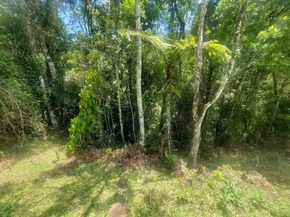 Imagem Área à venda (65,53ha) - Águas Mornas/SC