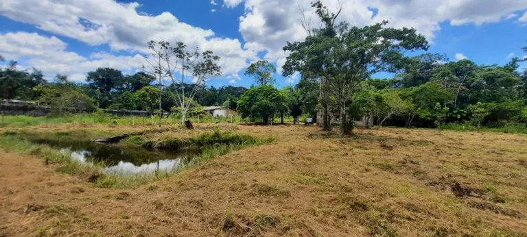 Imagem Chácara para Venda em Itanhaém, Gaivota (Interior), 2 dormitórios, 1 banheiro, 15 vagas