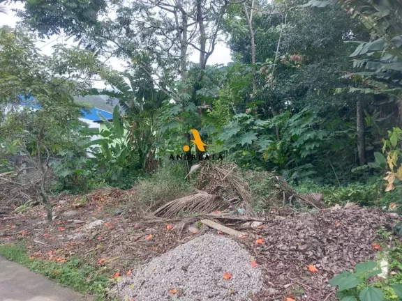 Imagem Estrada dos Bandeirantes - Bosque dos Eucaliptos - excelente lote para construir