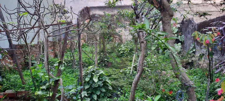 Imagem Oportunidade Imperdível: Casa Antiga em Localização Estratégica com Potencial Comercial!
