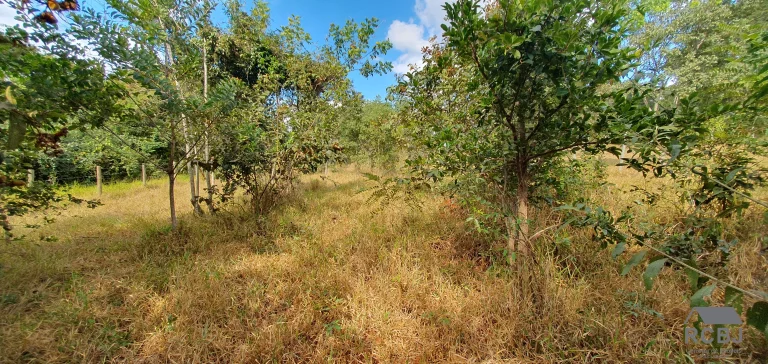 Imagem TERRENO TEMPORADA em ESMERALDAS - MG, ESMERALDAS/QUATI