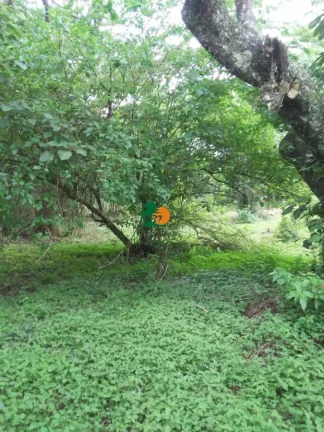 Imagem Terreno para Venda em Araçariguama, Ibate