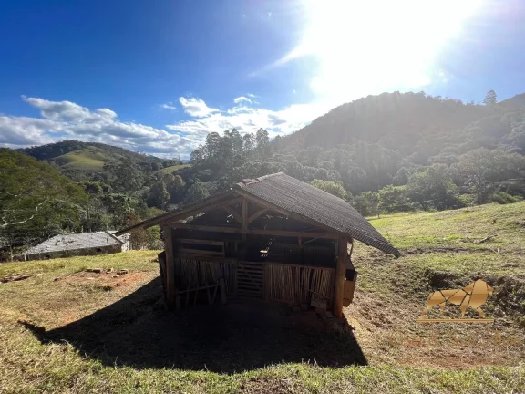 Imagem Lindo Sítio a Venda em Santo Antônio do Pinhal - OPORTUNIDADE!
