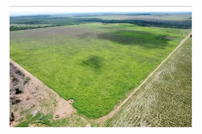Imagem Vendo esta fazenda em Mato Grosso.