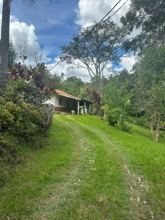 Imagem Sitio barato e com escriturta a venda na cidade de Cunha