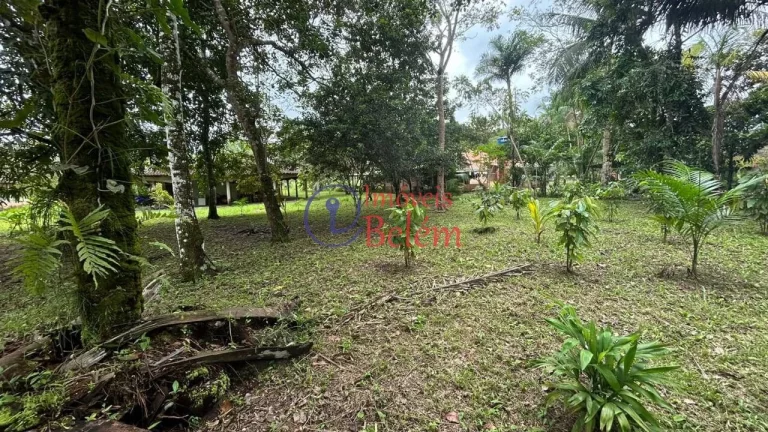 Imagem Imóveis Belém vende casa em Vigia Imagem Imóveis Belém vende casa em Vigia
