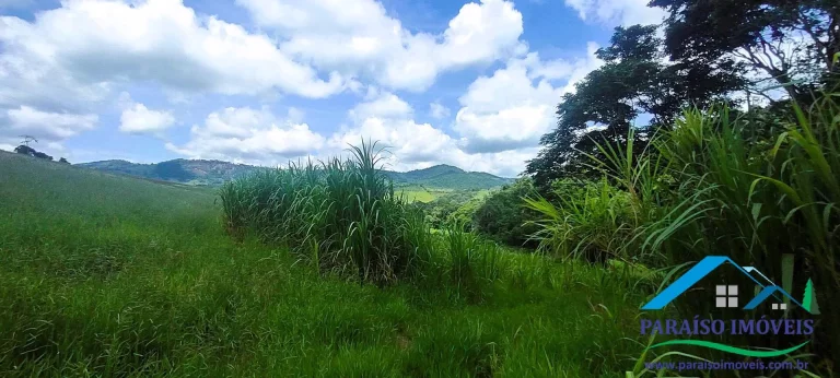 Imagem Uma Oportunidade Única para Conectar-se com a Natureza!