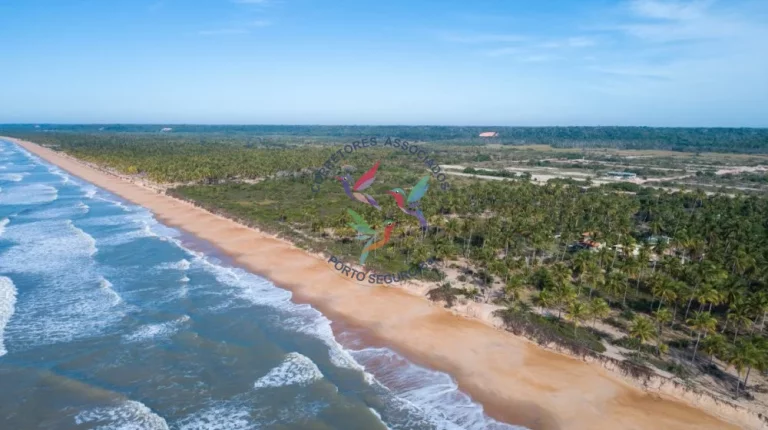 Imagem Mogi dos Pássaros - Mogiquiçaba - Belmonte - Bahia