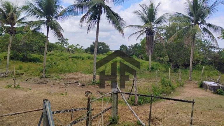 Imagem Terreno à Venda, 5.000 m² em Centro - Paudalho