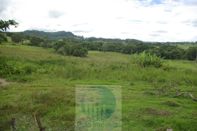 Imagem Fazenda 59 alqueires para soja, milho, gado em Cássia dos Coqueiros - SP . Temos autorização para venda.