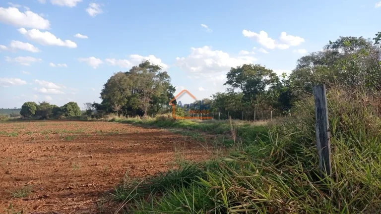 Imagem Sítio à venda no bairro Martim Francisco - Mogi Mirim/SP