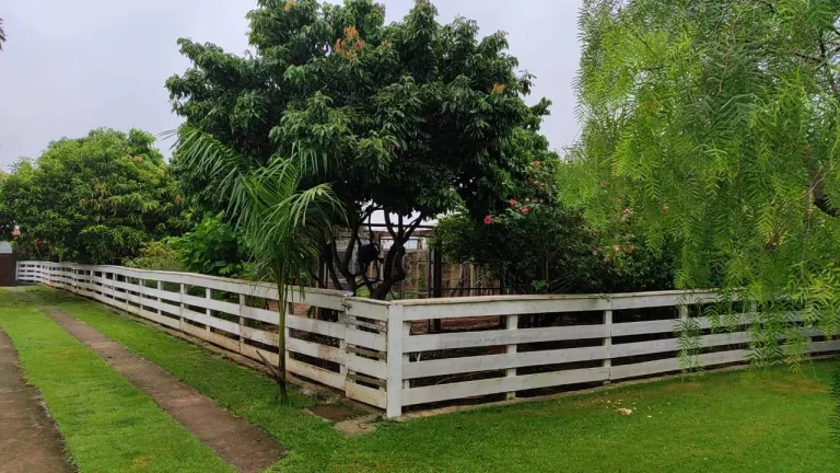 Imagem Chácara com 3 Quartos à Venda, 1.400 m² em área Rural De Itu - Itu