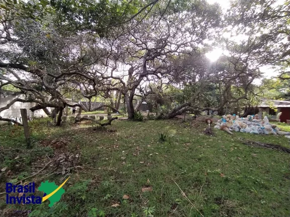 Imagem ÁREA EM ARRAIAL D'AJUDA