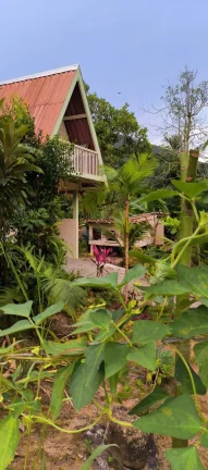 Imagem Chácara à venda no bairro Centro - Tijucas/SC